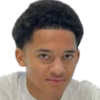 Palmer