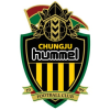 Hummel *